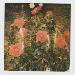 杨幂性做爰全过程
